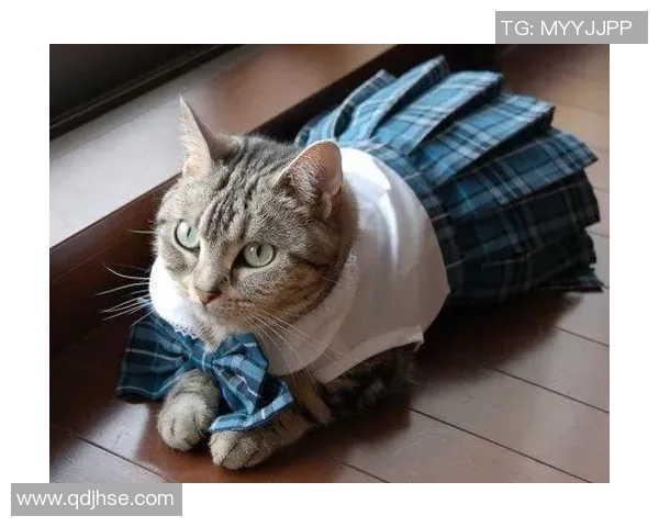 足球明星名字命名的猫咪们趣味大集合，看看谁是最受欢迎的小明星